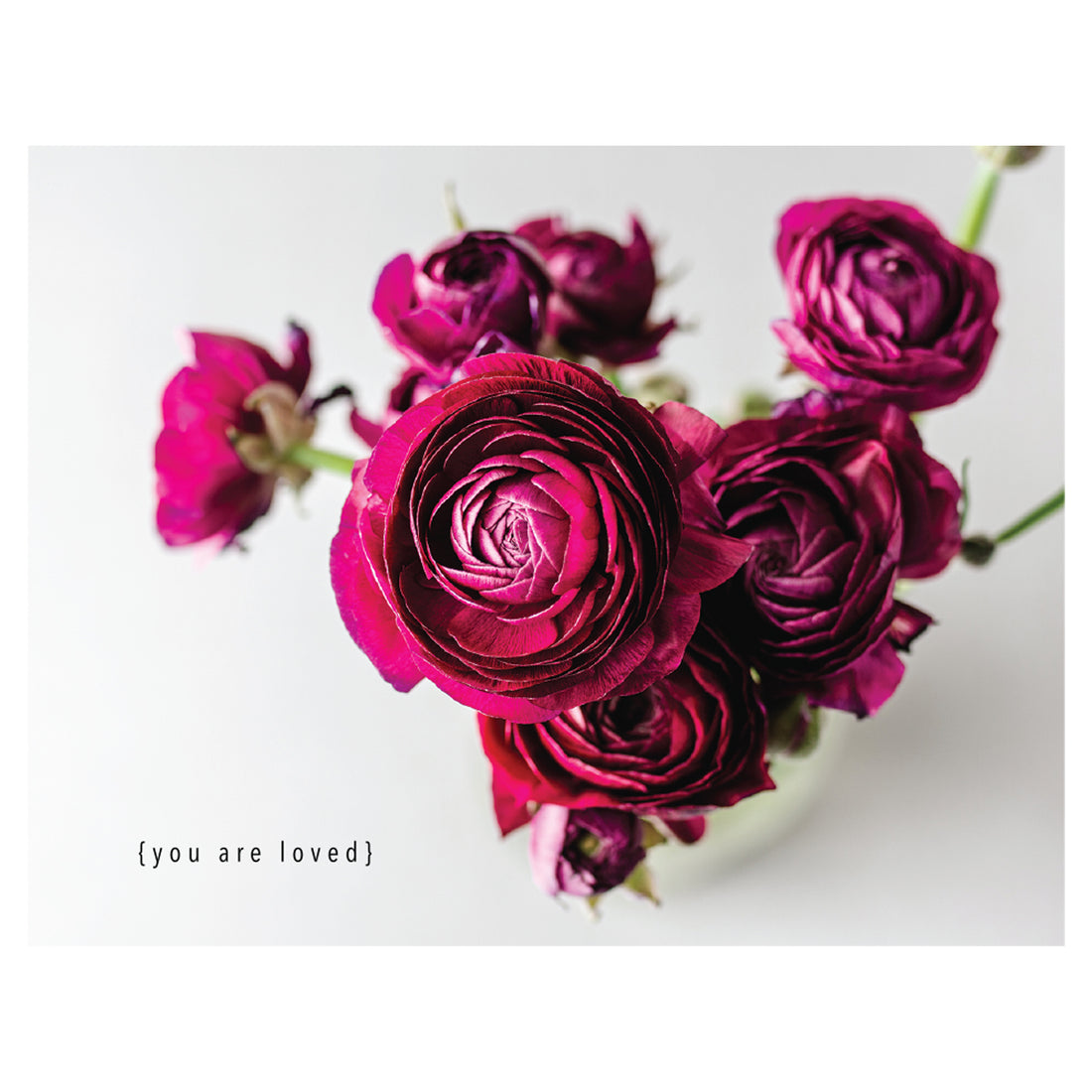 A photo of a vase of deep magenta flowers that resemble a heart on a white background, with &quot;{you are loved}&quot; printed in black in the lower left of the card.