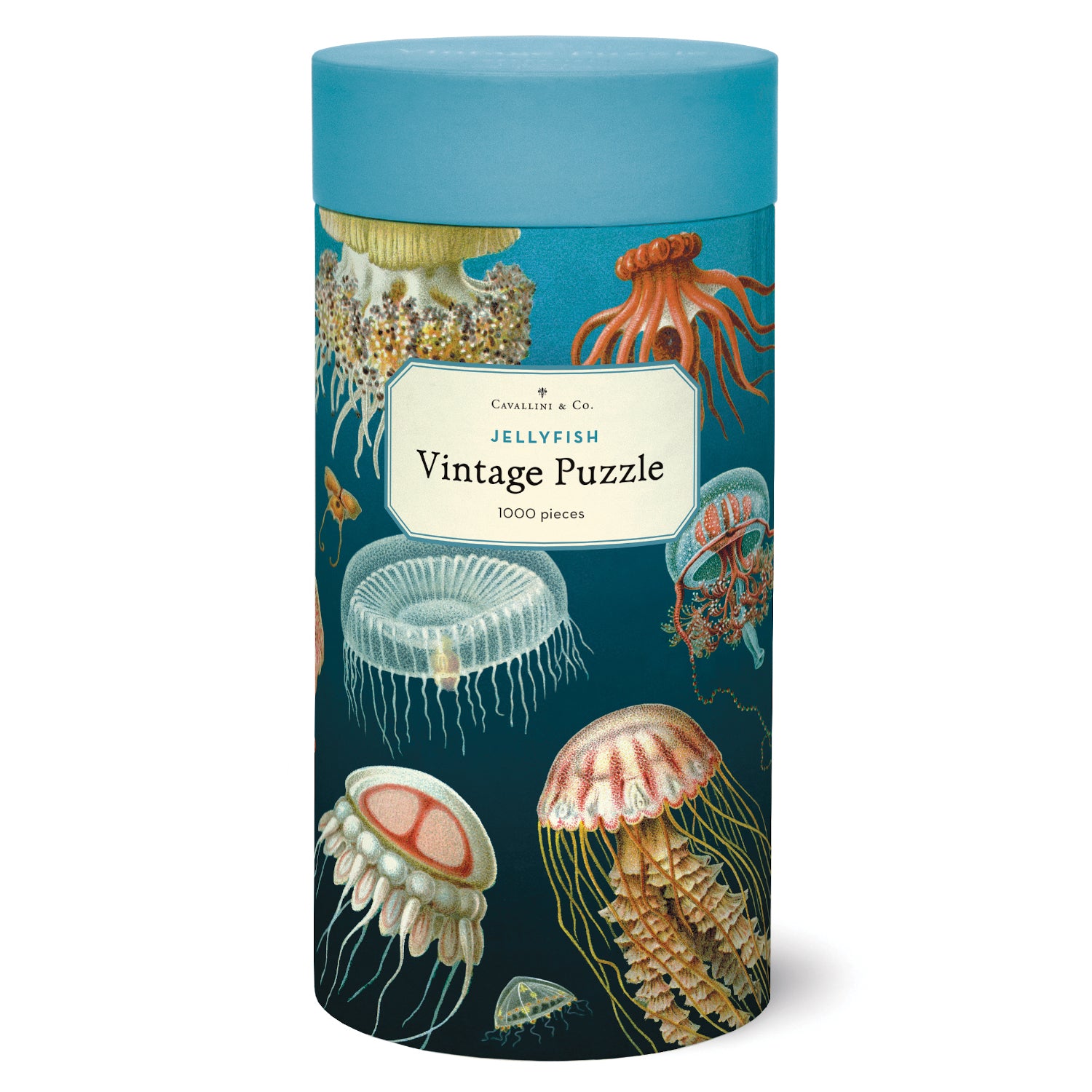 A 1000-piece Cavallini Papers & Co Jellyfish Puzzle featuring vintage illustrations of various jellyfish species from the Cavallini archives, packaged in a cylindrical box.