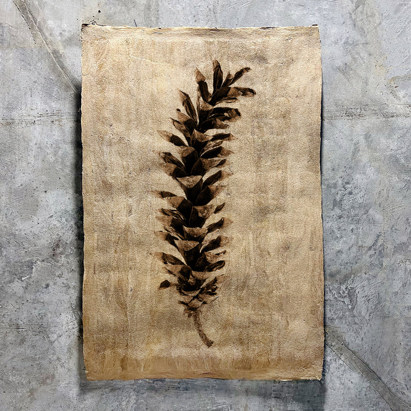 Eastern White Pine on Amate Sierra Art Print