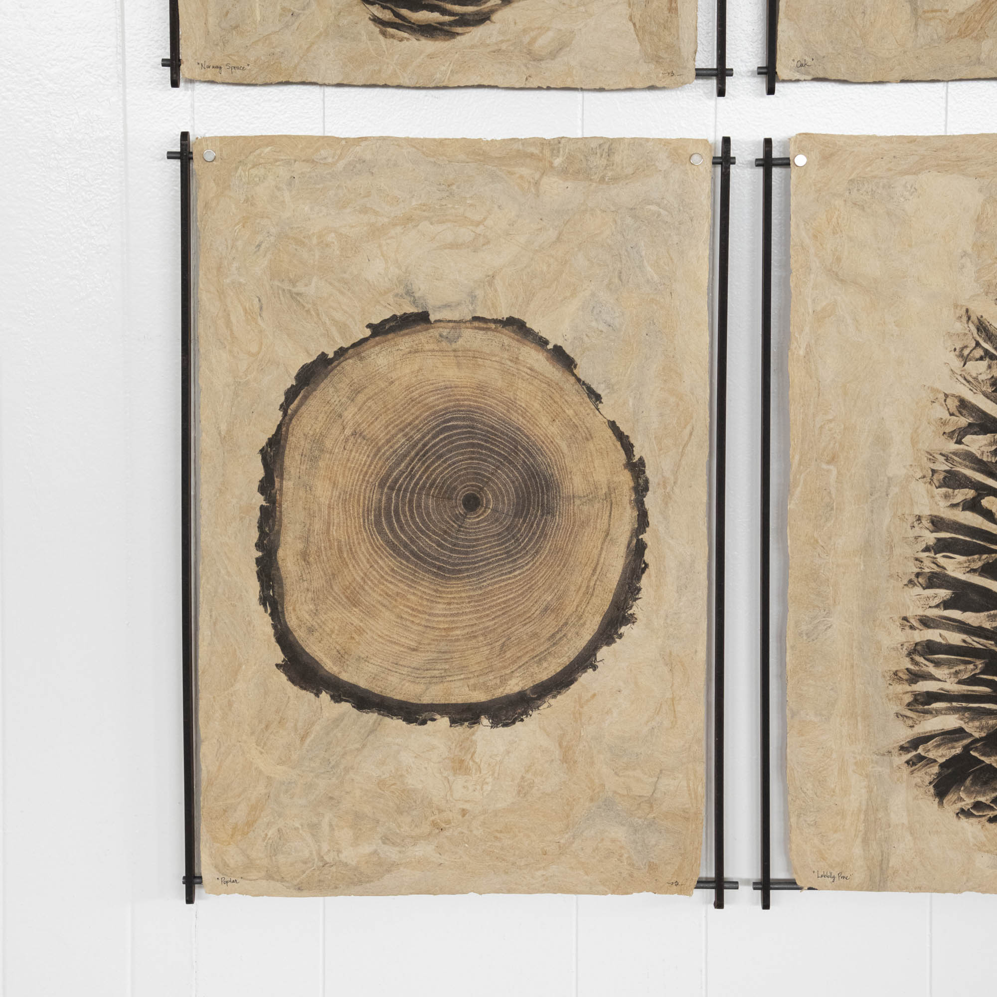 Poplar on Amate Sierra Art Print