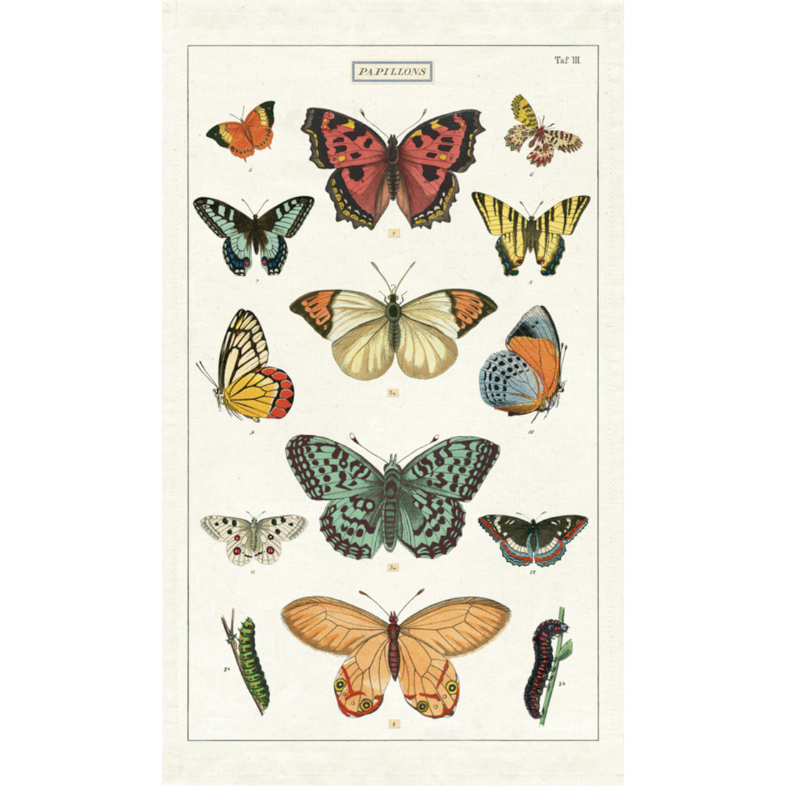 A Cavallini Papers &amp; Co Butterflies Tea Towel with a variety of butterflies on it.