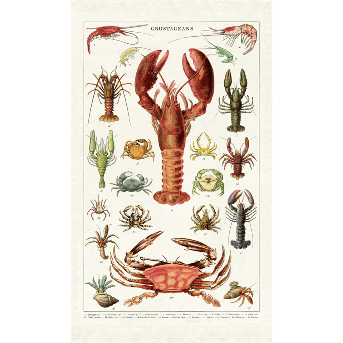 An Crustacean Cavallini Papers &amp; Co tea towel with lobsters and crabs on it, made from natural cotton.