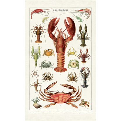 An Crustacean Cavallini Papers &amp; Co tea towel with lobsters and crabs on it, made from natural cotton.