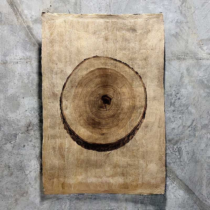 Cherry on Amate Sierra Art Print