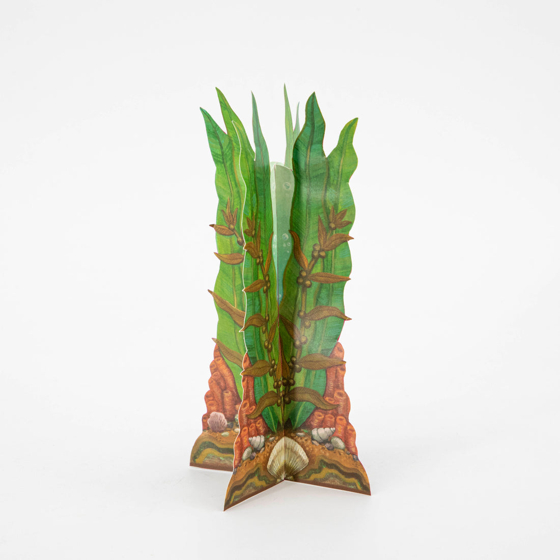 A die-cut, illustrated table ornament that stans up on its own, featuring tall, vibrant green seaweed with orange coral and white shells around the base.