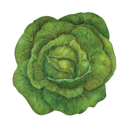 An illustrated, vibrant green cabbage die-cut in the shape of the leaves.