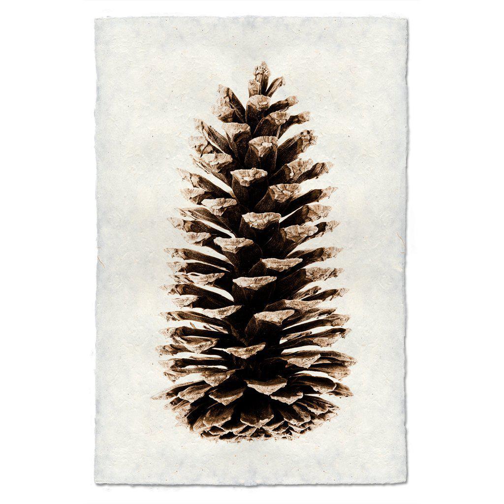 vintage pine cone clip art