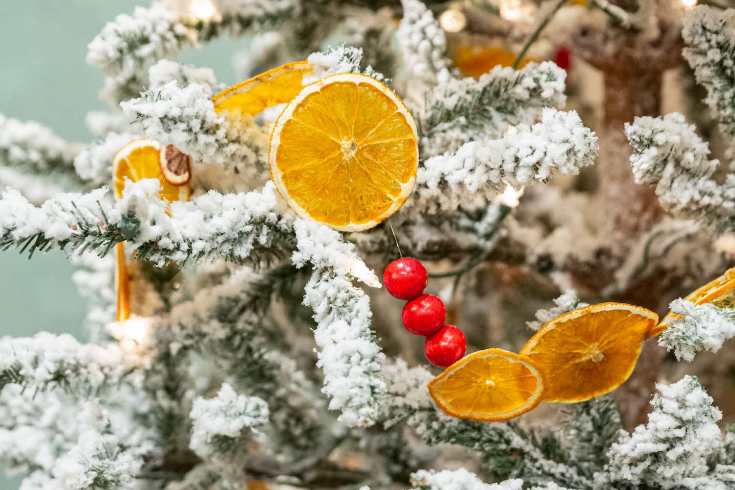 How to Make a Citrus Garland for the Holidays