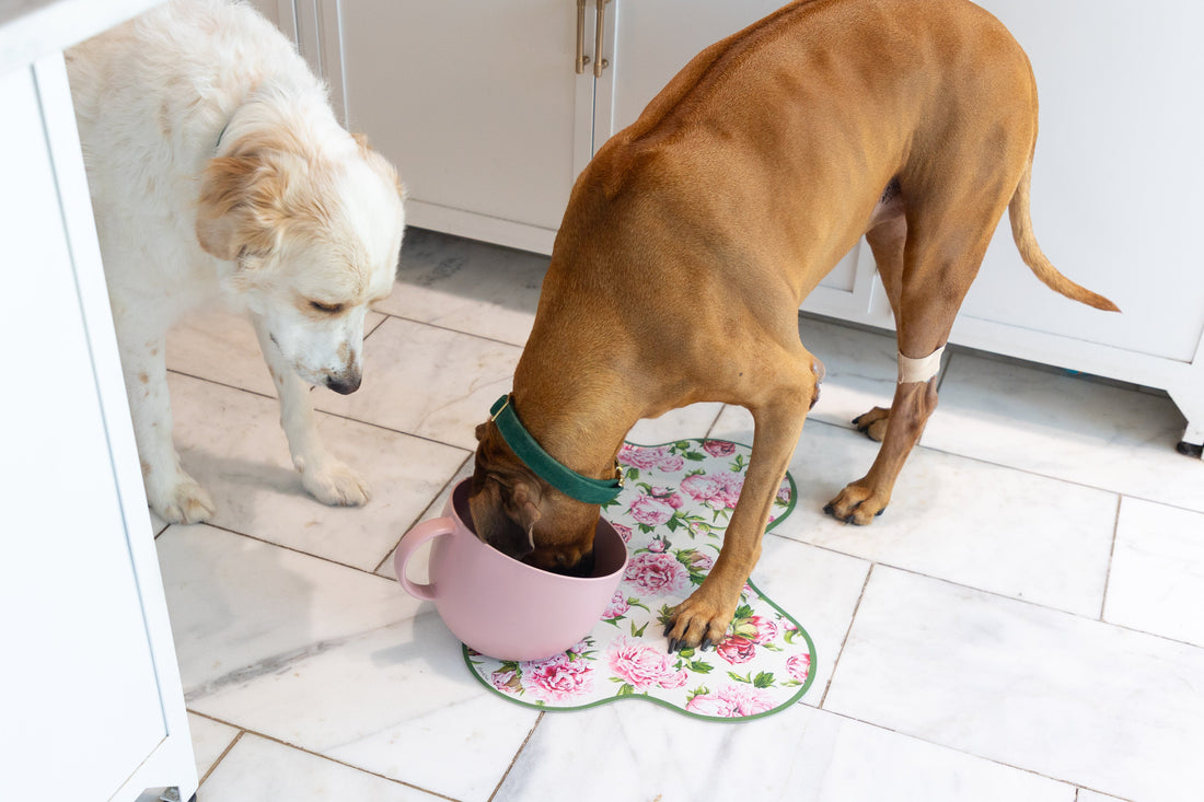 A brown dog wearing a green collar drinks from a pink bowl placed on a floral mat, while a white dog watches from the side in a kitchen setting.