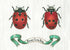 Two red ladybugs with black spots and a green ribbon on a white background.