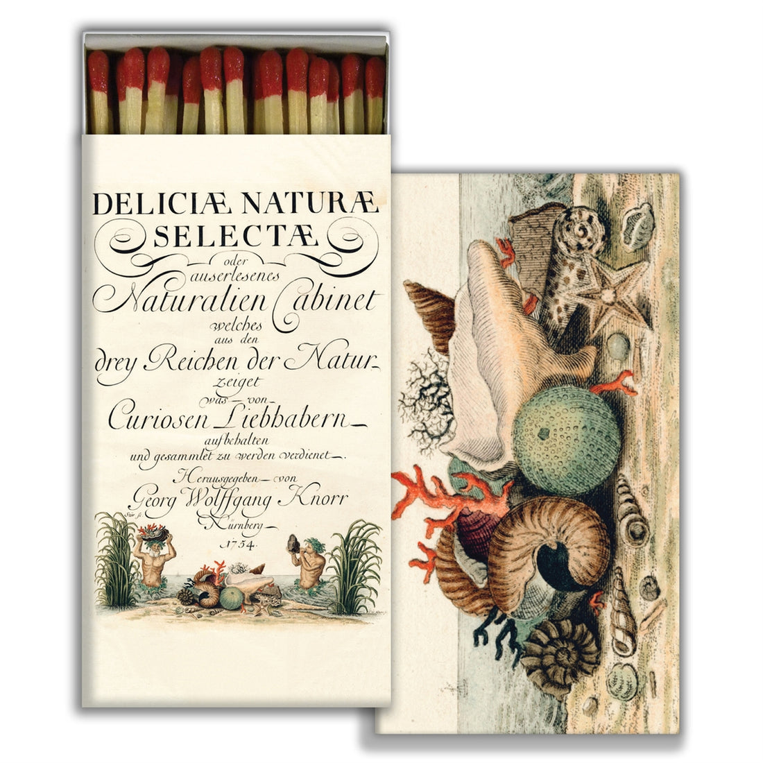 Matchbox with vintage-style illustration of natural history specimens on a white background