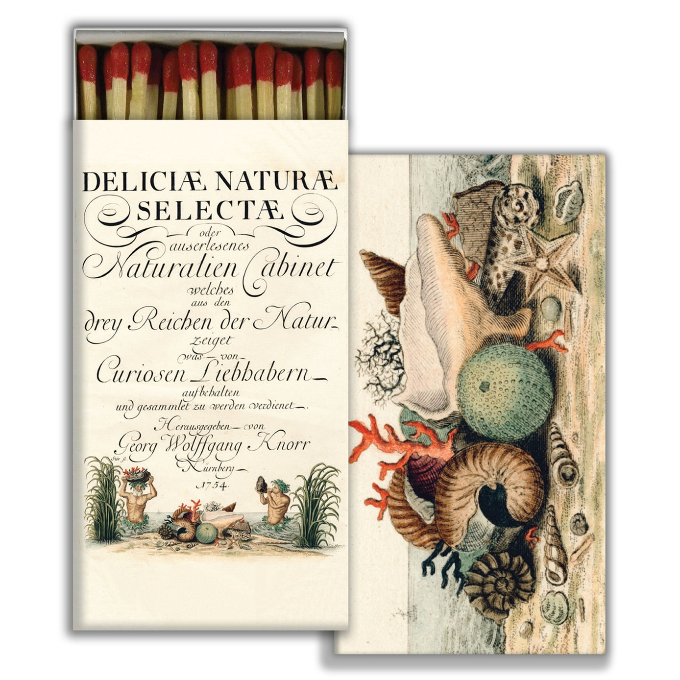 Matchbox with vintage-style illustration of natural history specimens on a white background