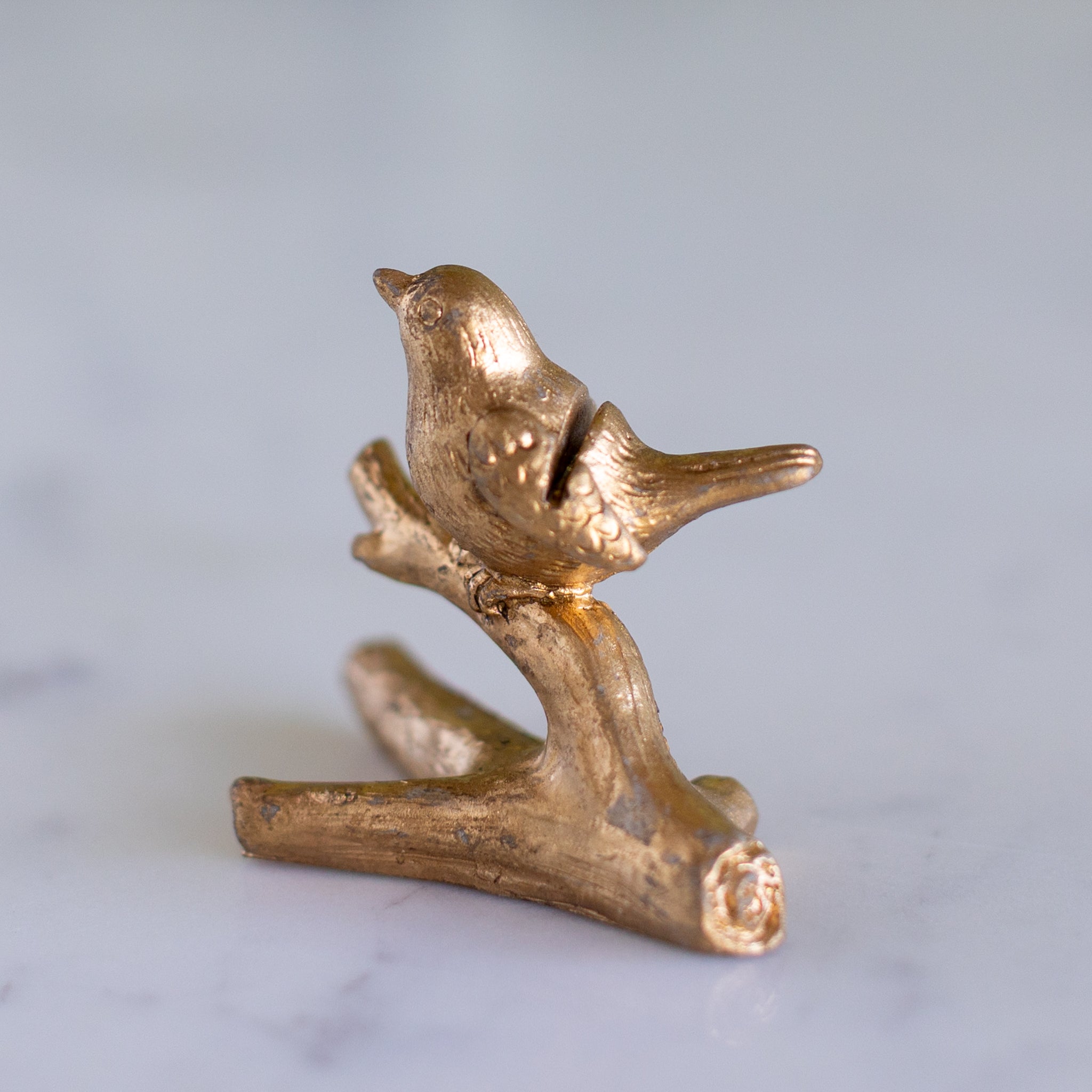 Bird Name Card Holder