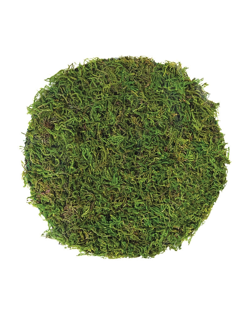 A round green mossy placemat made from preserved forest moss with a mesh backing, designed for use as a placemat.