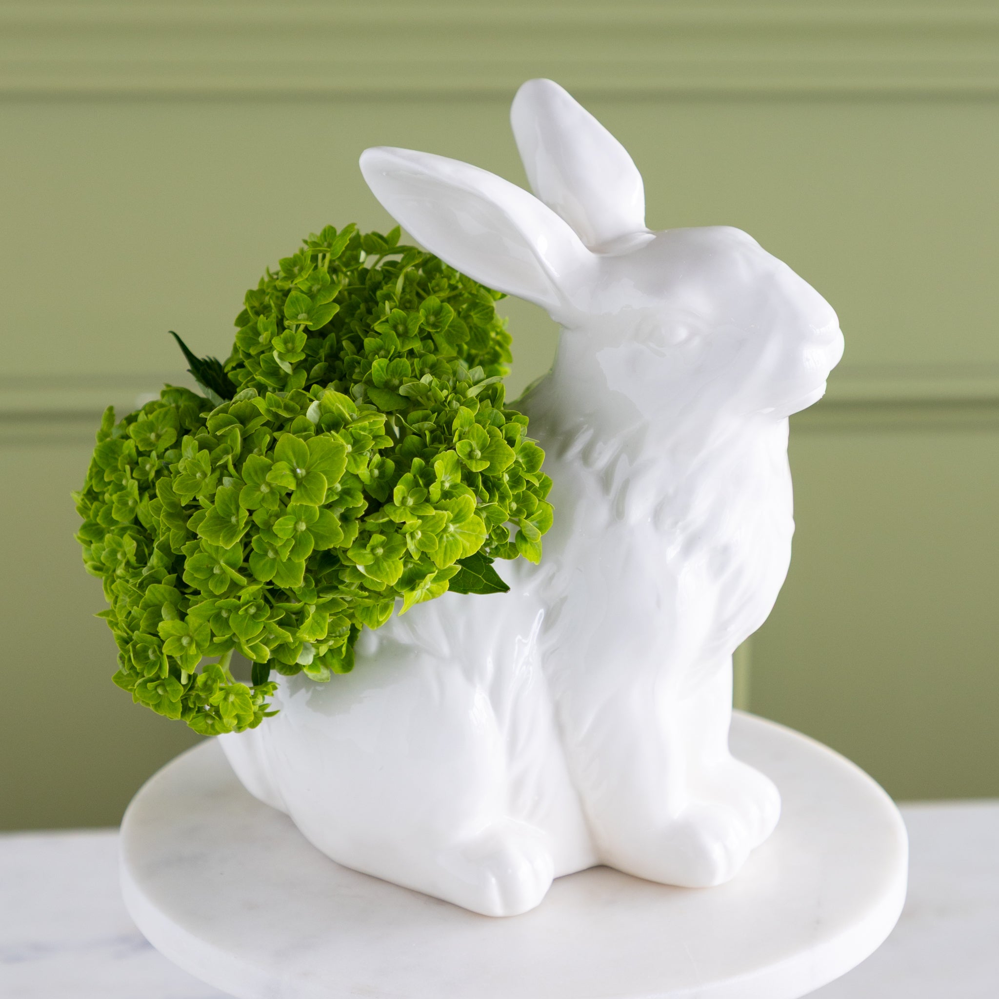 White ceramic rabbit planter with green plant against a green wall.