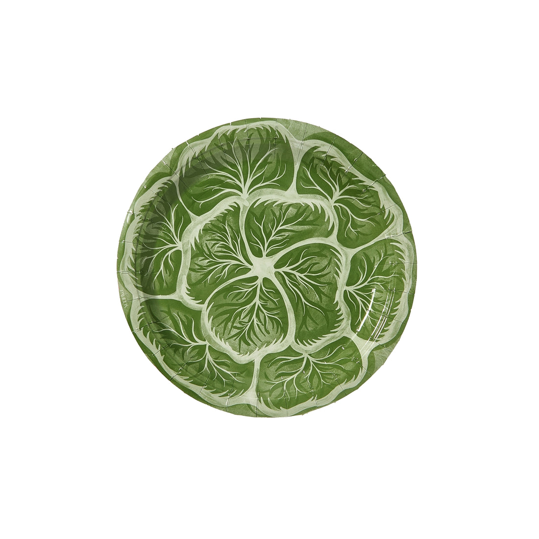Green cabbage paper plate on a white background.
