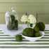 Moss balls displayed in a white bowl on a table with a striped tablecloth, with a glass cloche containing more moss balls in the background, alongside a vase with flowers.