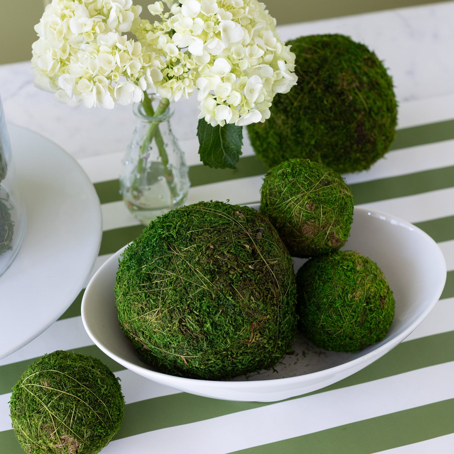 Moss Balls