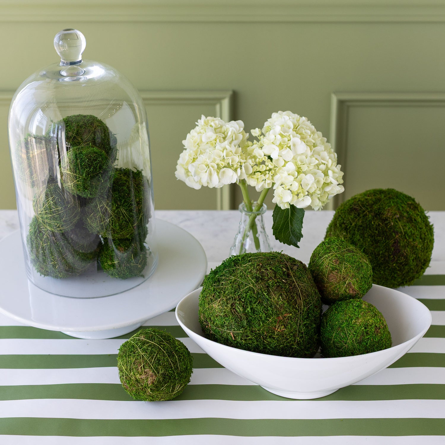 Moss Balls