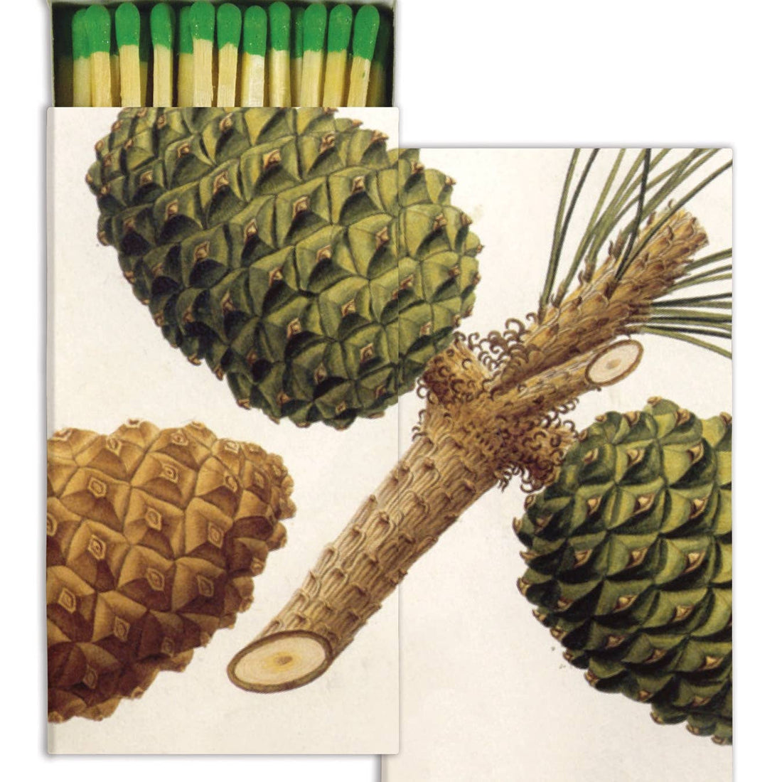 Two boxes of matches next to each other with an illustration of pinecones on them. 