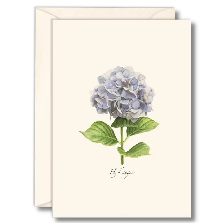 A cream note greeting card featuring an illustration of a pale blue hydrangea. 