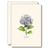 A cream note greeting card featuring an illustration of a pale blue hydrangea. 