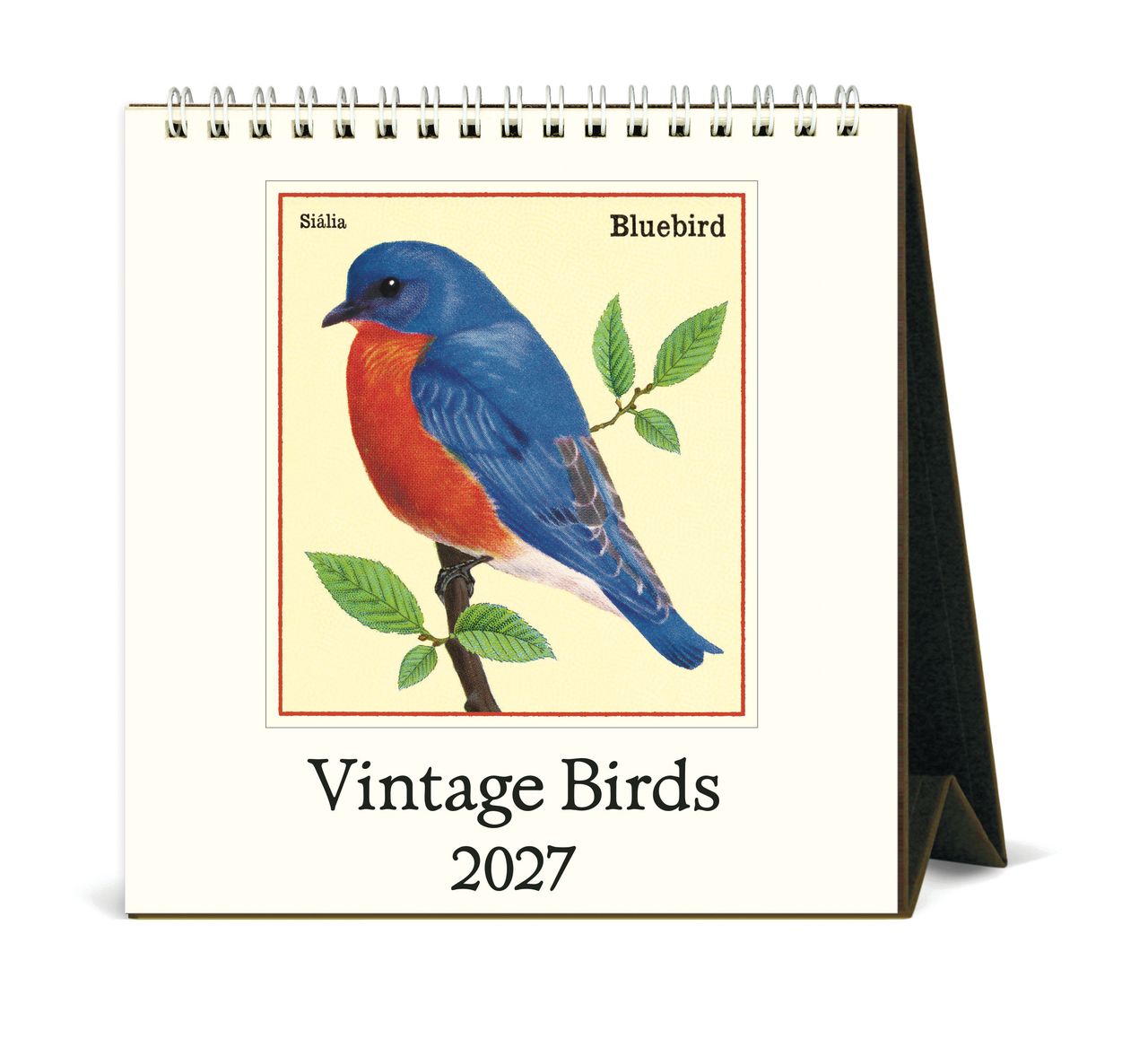 2027 vintage birds calendar with a bluebird illustration on a white background
