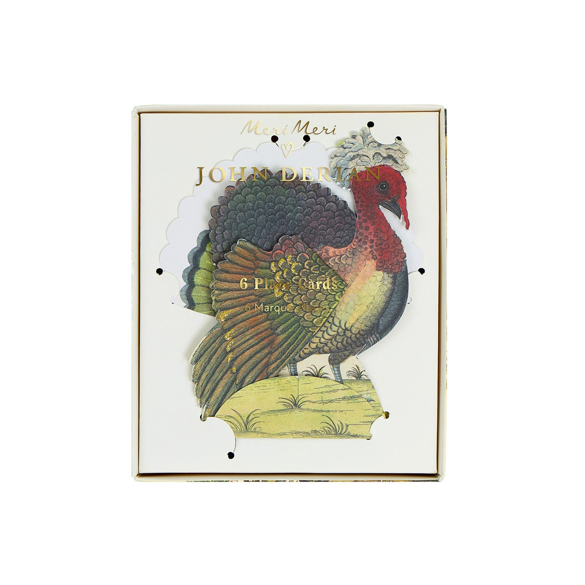 Pack of place cards with a colorful turkey illustration on a white background.