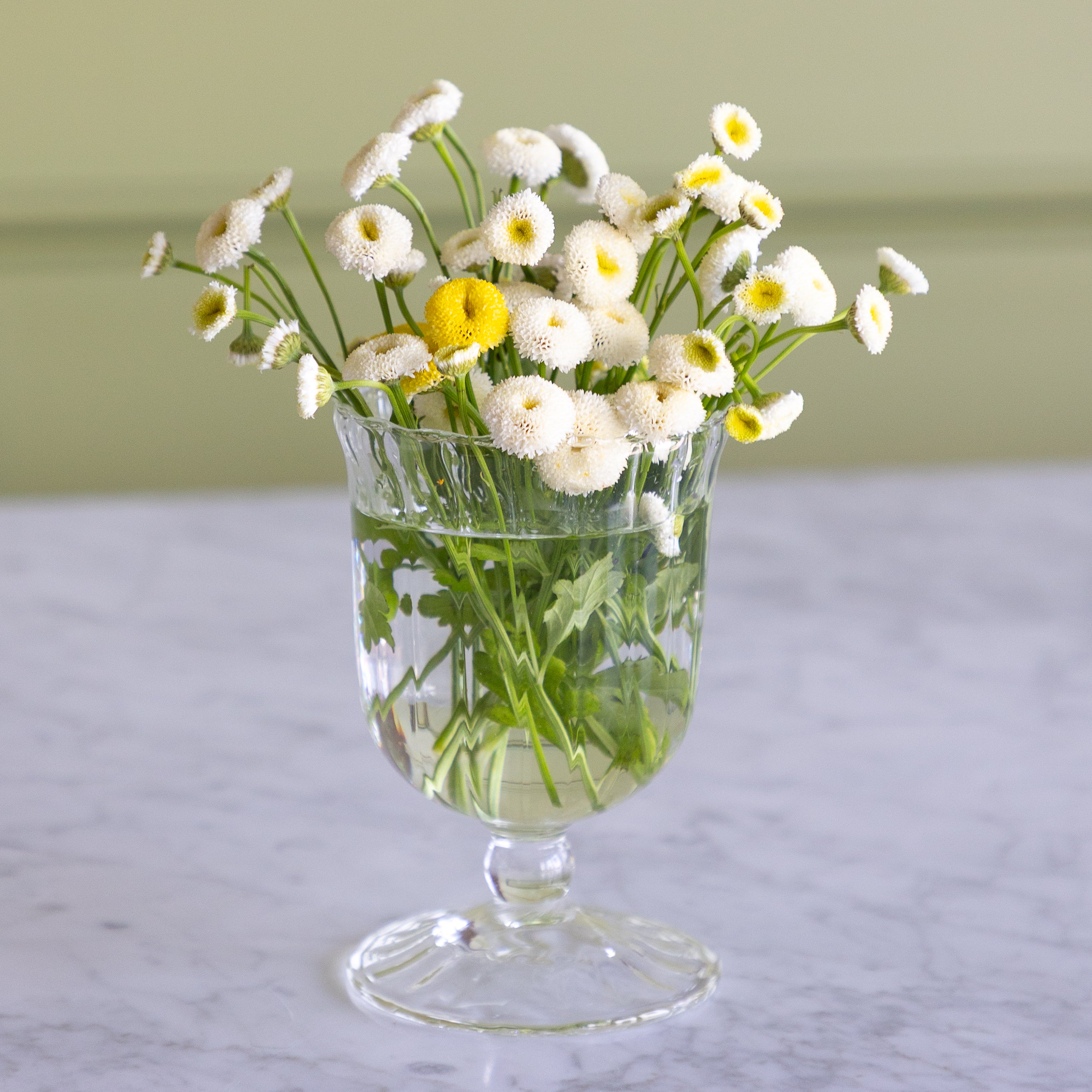A bouquet of white daisies with a single yellow center arranged in a clear glass footed cup on a light marble surface against a soft green wall.