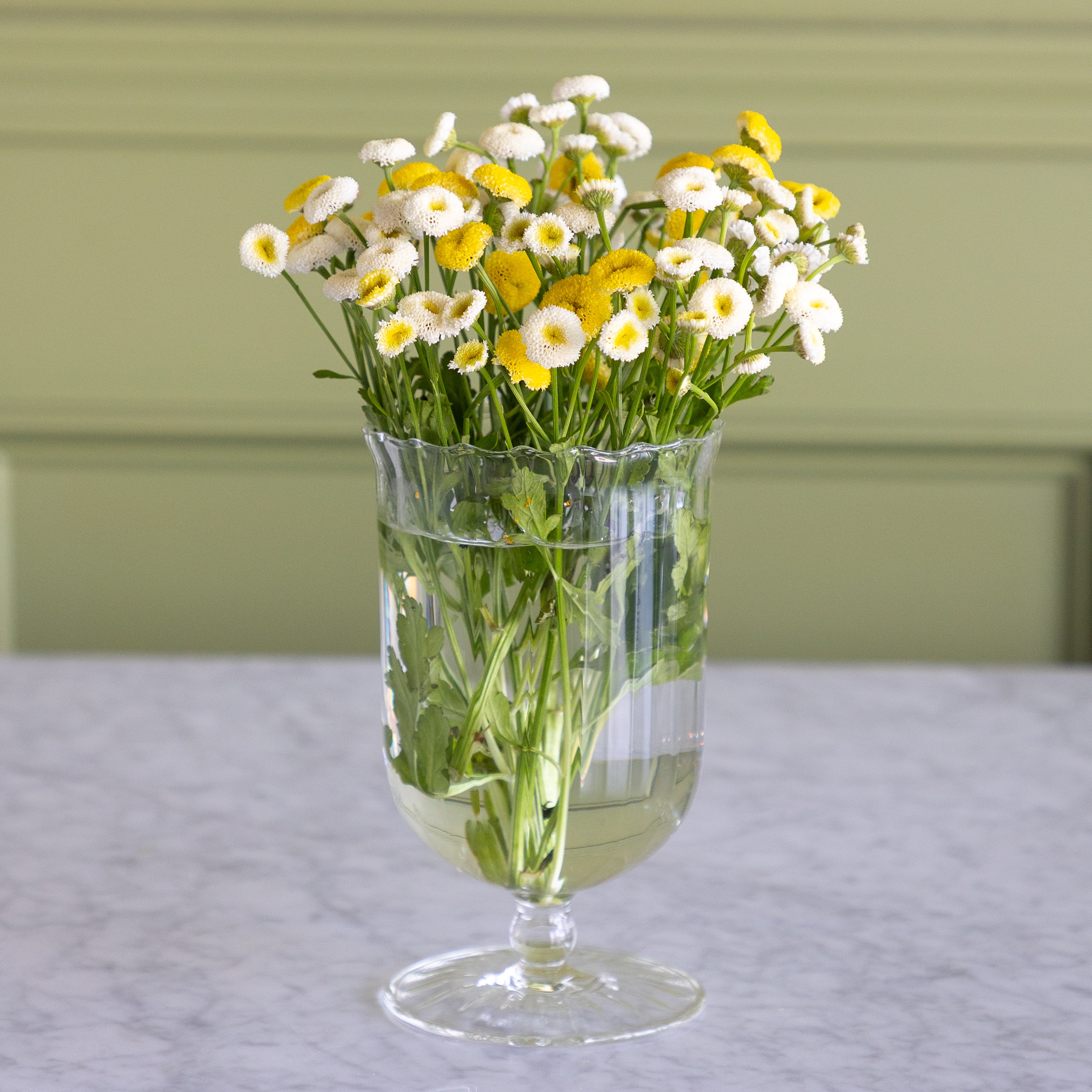 A clear glass footed vase filled with water and fresh daisies, featuring white and yellow flowers with green stems, set on a light marble tabletop against a sage green paneled wall.
