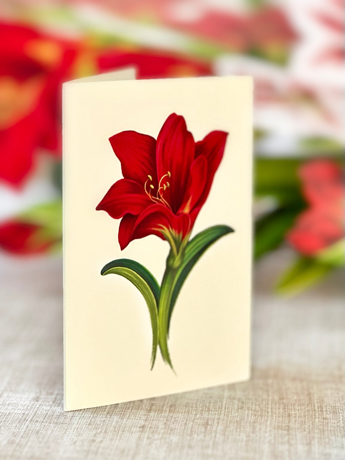 Scarlet Amaryllis Pop Up Card