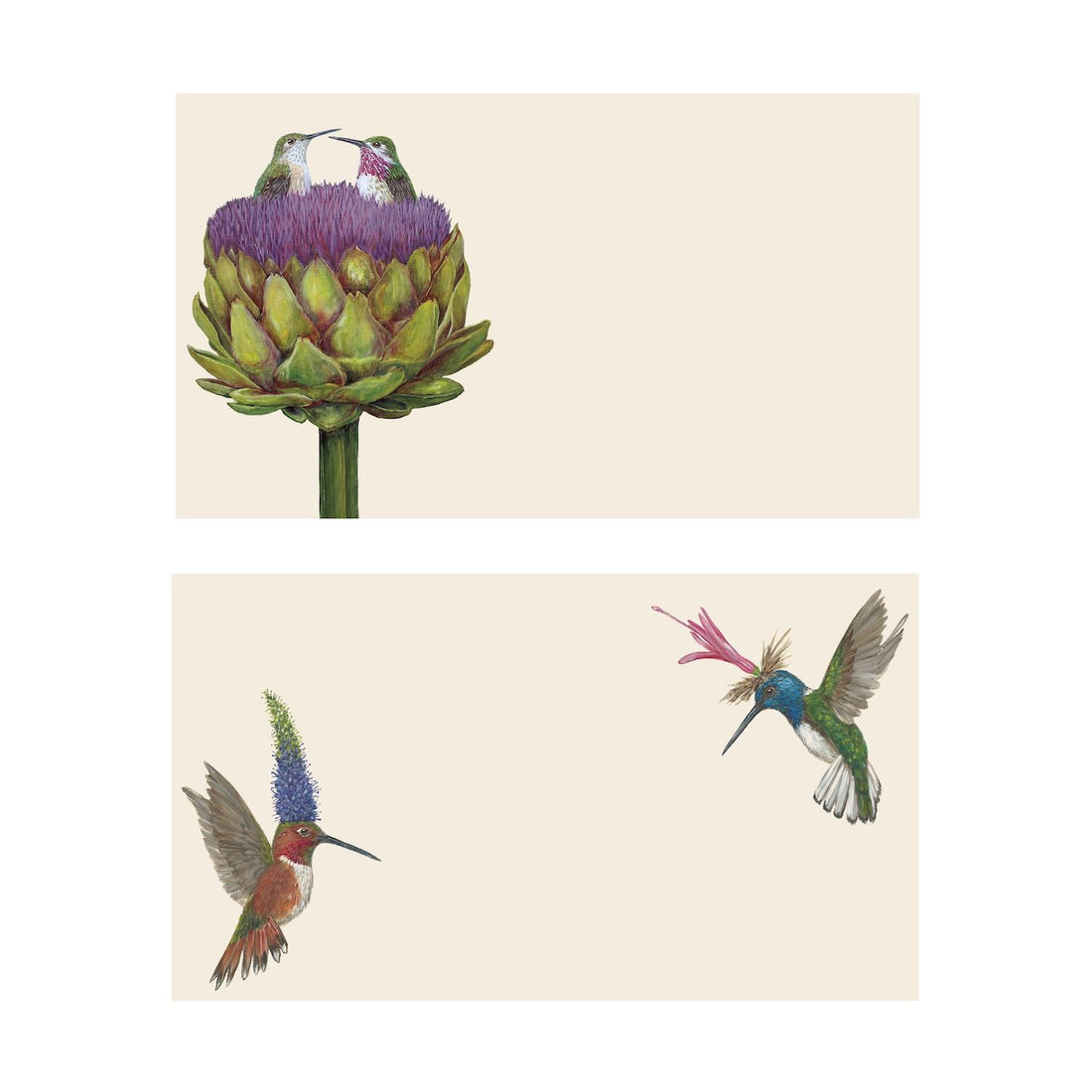 Two illustrated note card designs on a cream background. The top card shows two small hummingbirds nestled inside the purple flowering top of a large green artichoke. The bottom card features two hummingbirds in mid-flight, each wearing a unique, tall floral hat made of purple and pink blossoms.