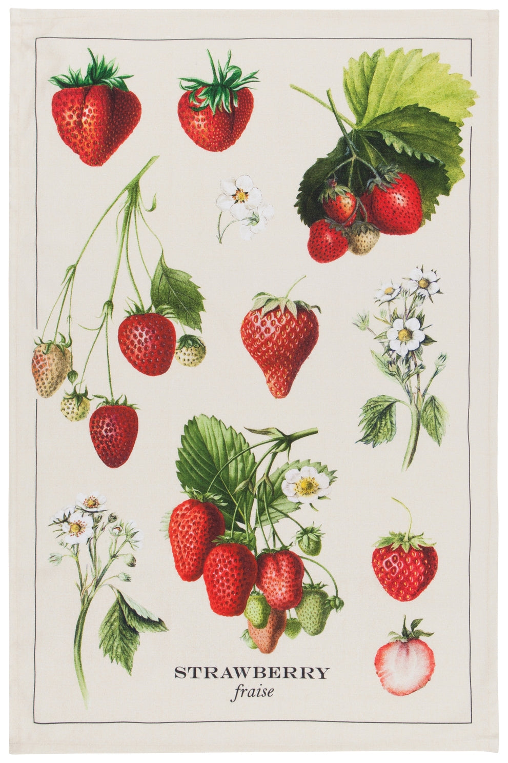 Illustration of strawberries with leaves and flowers on a beige background.