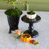 A styled tabletop arrangement featuring a black pedestal stand holding a small white pumpkin bowl filled with green moss, alongside a large black planter with a tree and two small pumpkin-shaped candy bowls filled with colorful candies on a light marble surface.