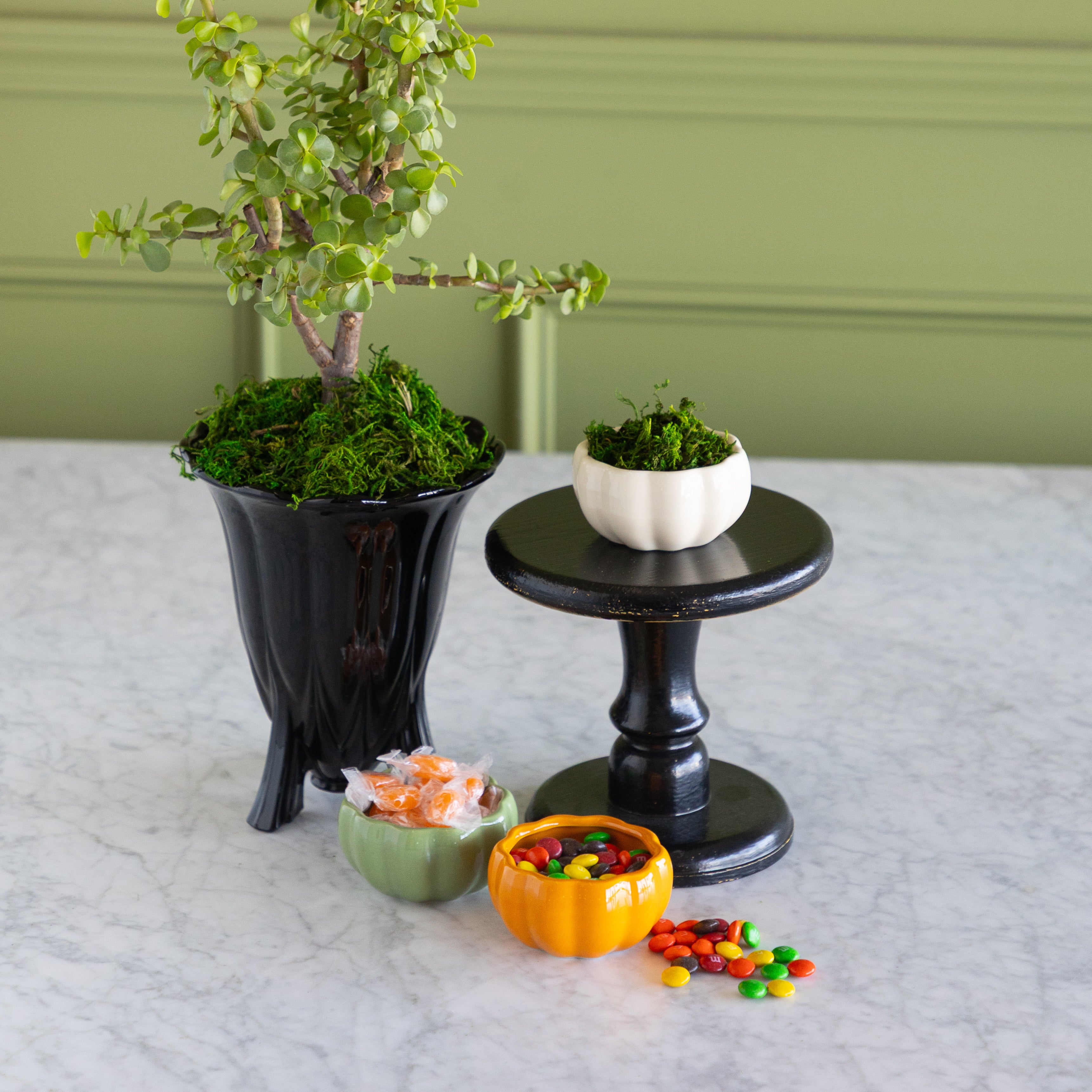 A styled tabletop arrangement featuring a potted green tree in a black planter, a small white pumpkin bowl of greenery on a black pedestal stand, and three pumpkin-shaped candy bowls containing candy on a light marble surface against a sage green paneled wall.