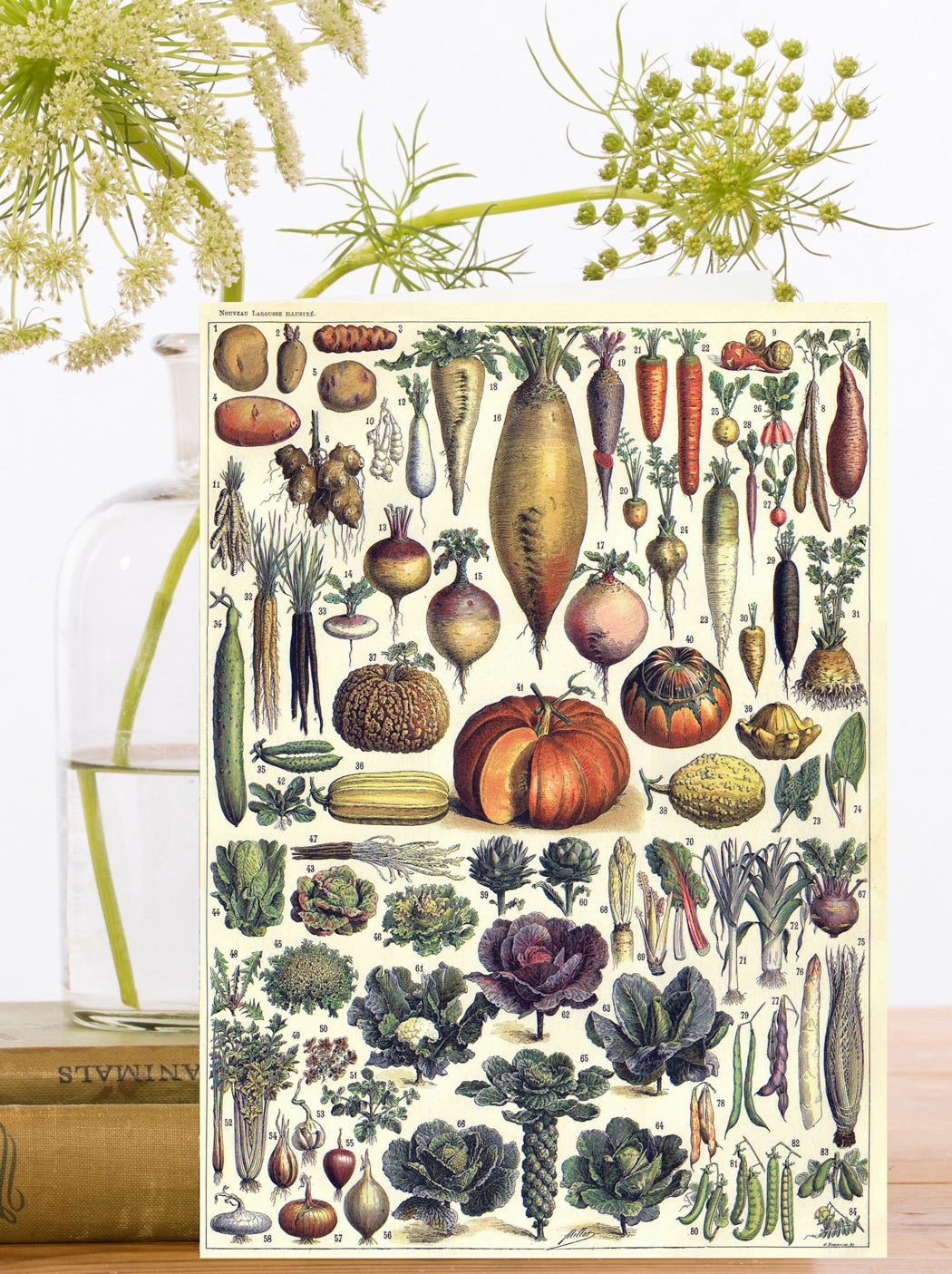 The Glory of Vegetables Greeting Card