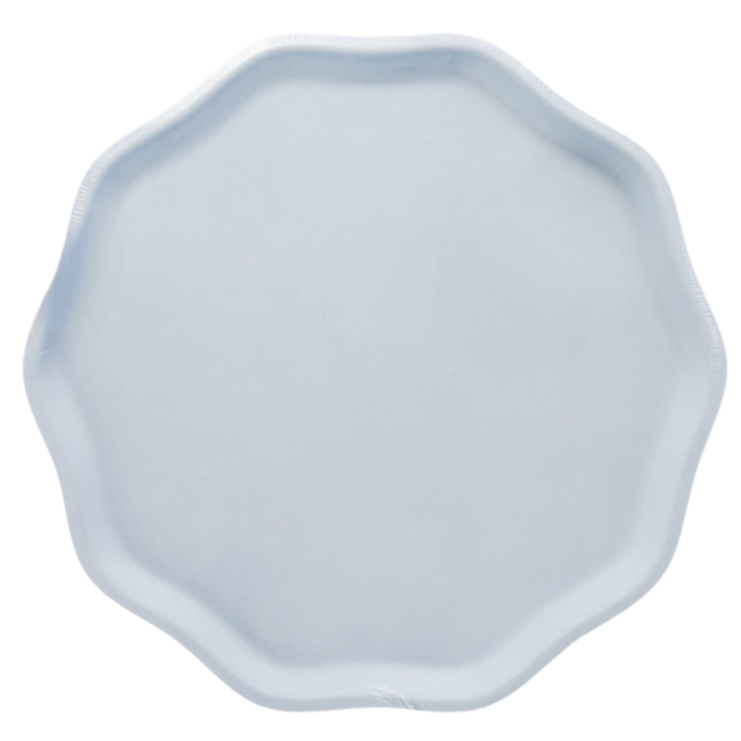 Light blue paper plate on a white background.