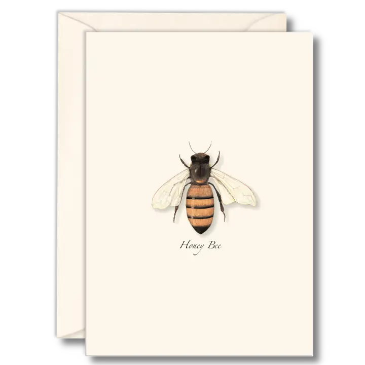 A cream greeting card featuring an illustration of a honey bee. 