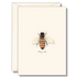 A cream greeting card featuring an illustration of a honey bee. 