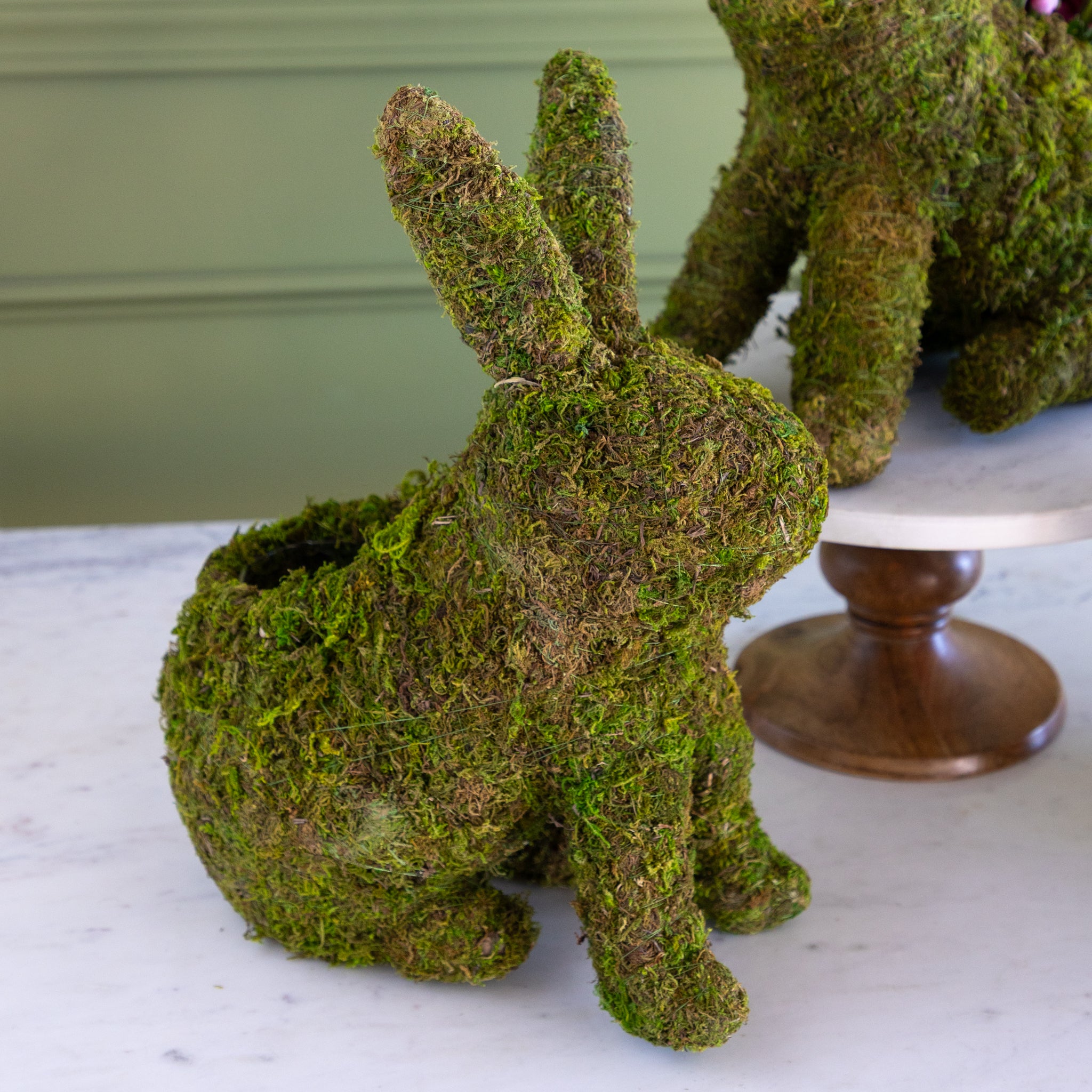 Moss Plantable Bunny