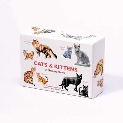Cats &amp; Kittens: A Memory Game