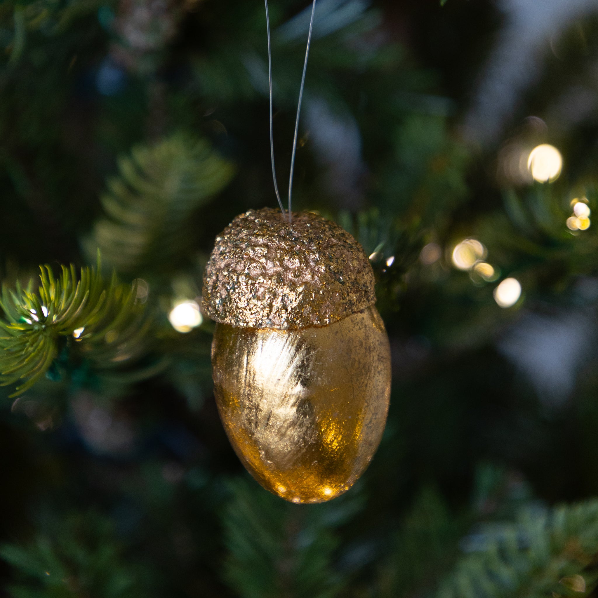 Gold Acorns, Box of 8