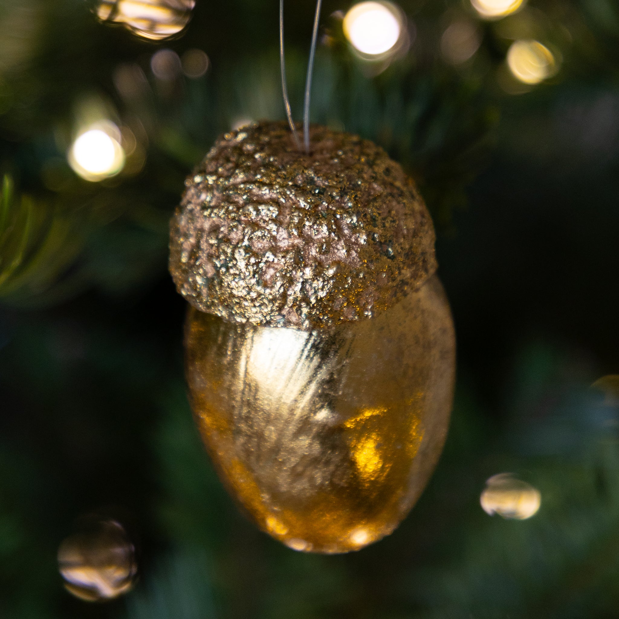 Gold Acorns, Box of 8