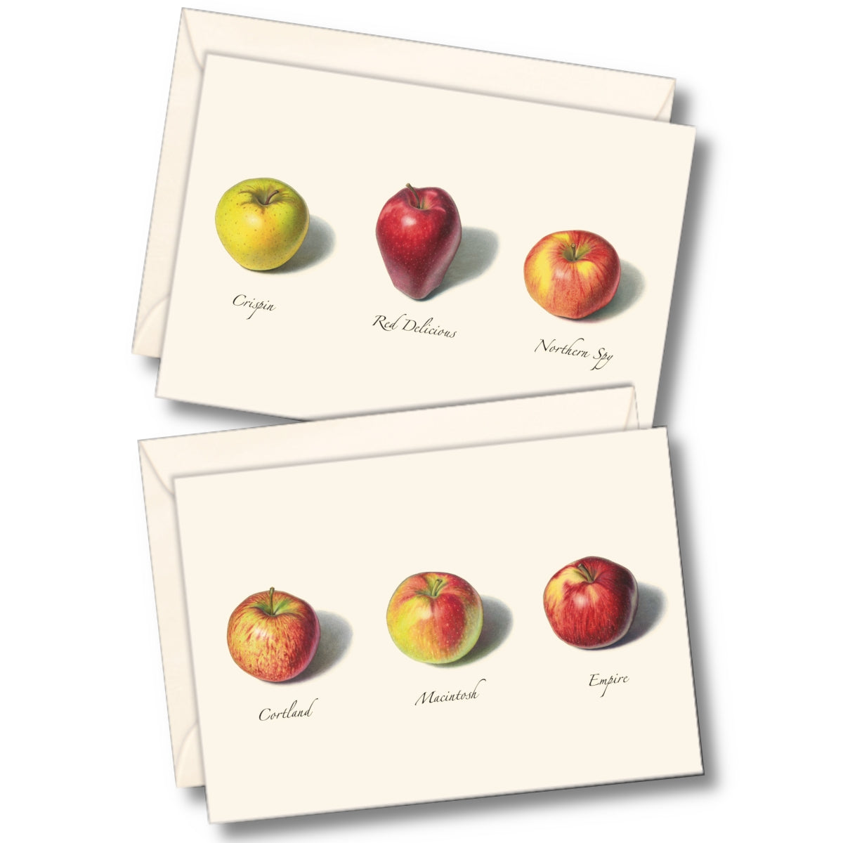 Apple Assortment Boxed Set of Cards