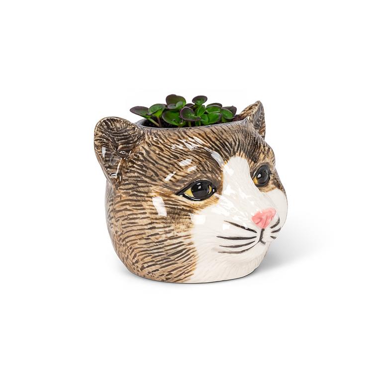 Cat-shaped planter with a succulent on a white background