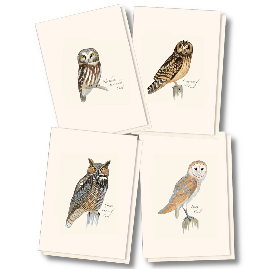 Sibley Owl Assortment Boxed Set of Cards