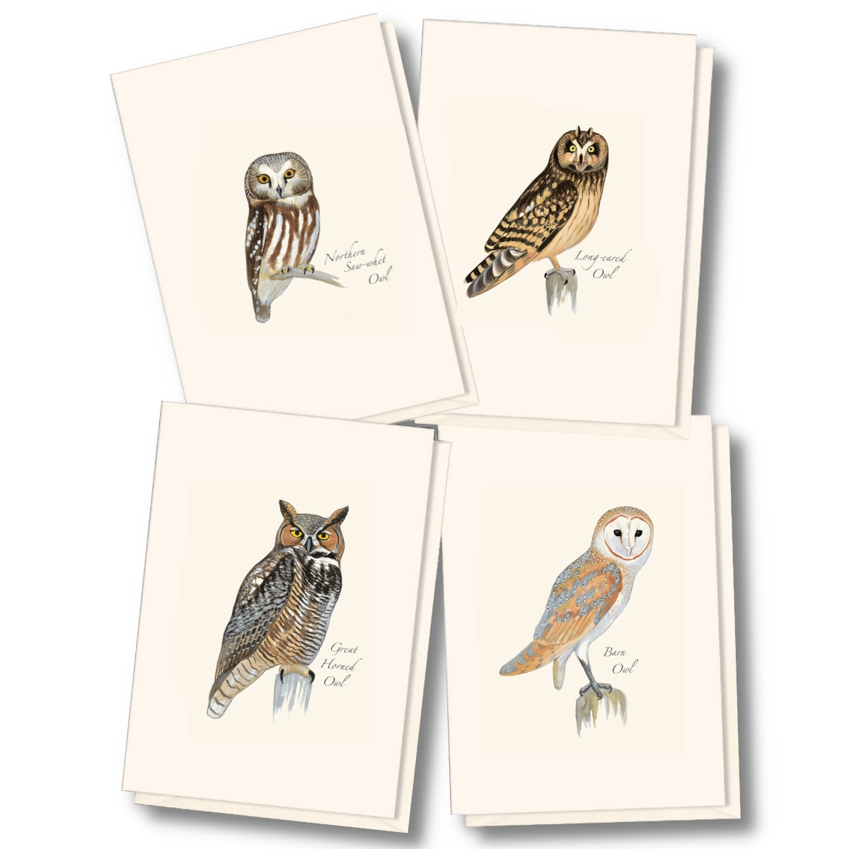 Sibley Owl Assortment Boxed Set of Cards