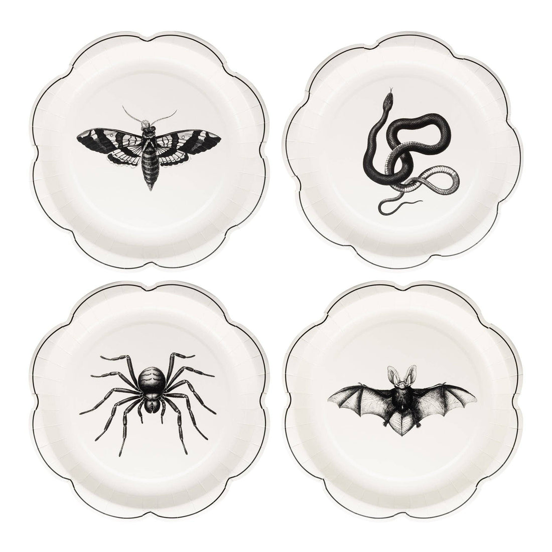 Four white plates with black illustrations of a moth, snake, spider, and bat on a white background.