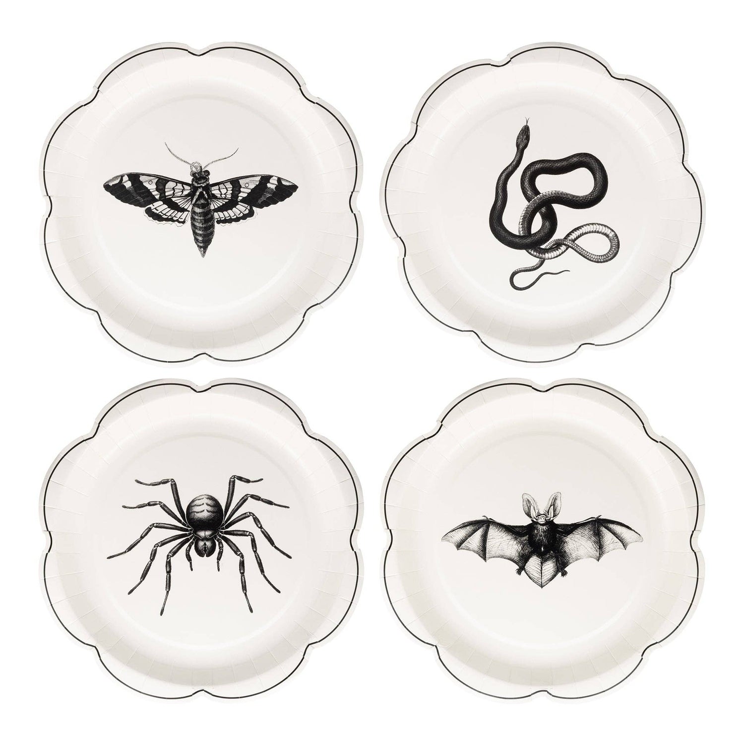 Four white plates with black illustrations of a moth, snake, spider, and bat on a white background.