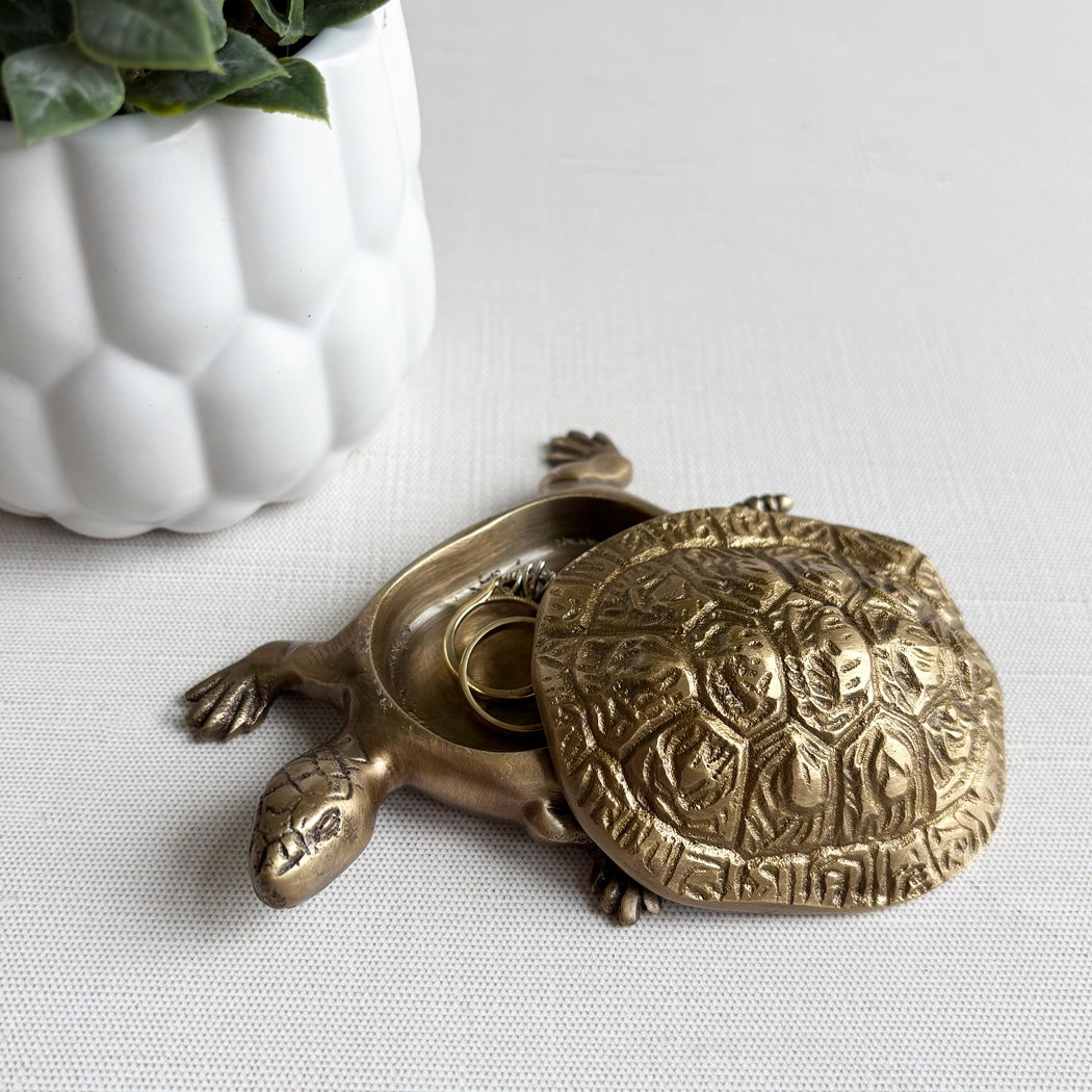 Bronze turtle-shaped decorative item on a white surface with a plant in the background.